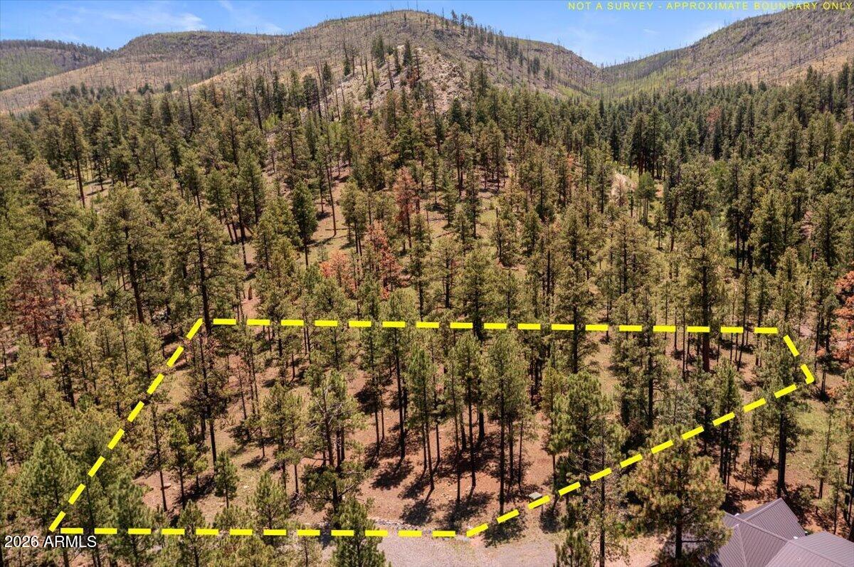 14 County Rd N1062, Unit 15 Greer, AZ 85927 - Photo 14 of 15 14-DJI_0521