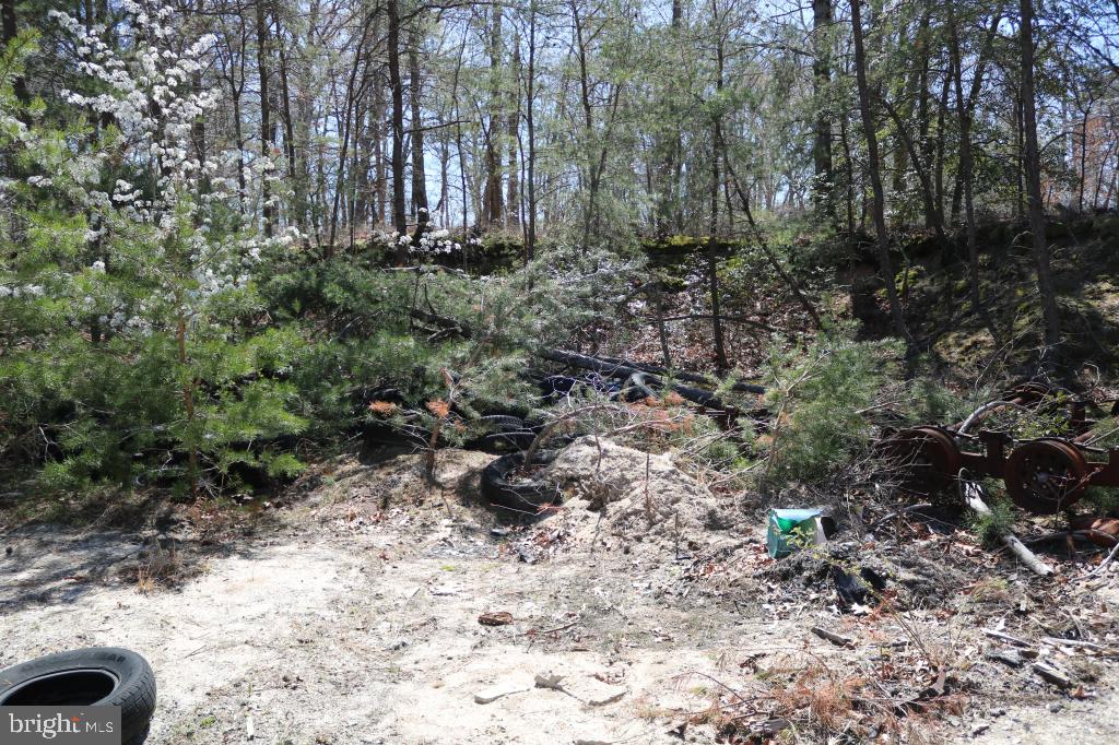351 Shaws Mill Road Cedarville, NJ 08311 - Photo 3 of 84
