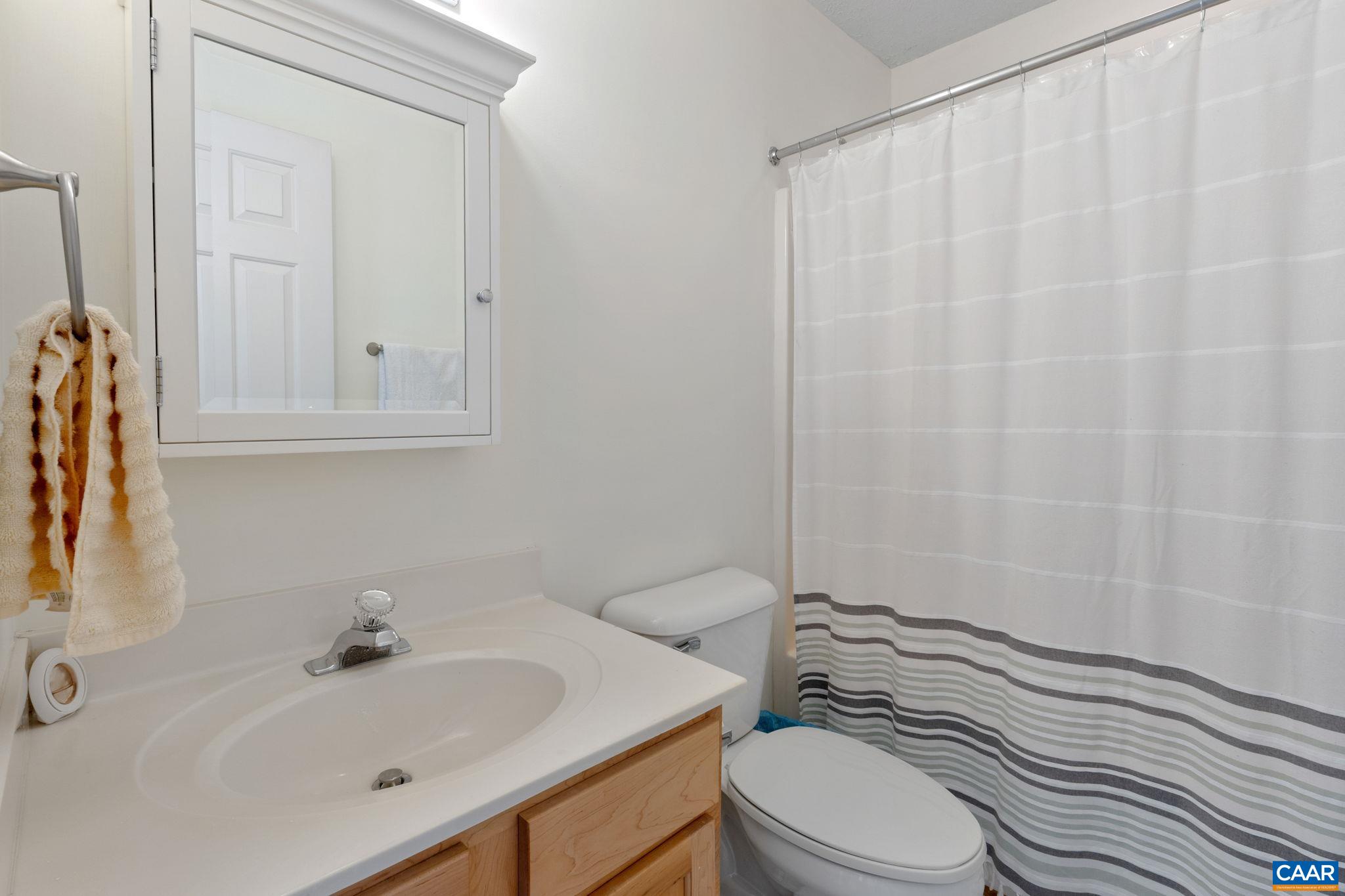 1 Hatchechubee Road Palmyra, VA 22963 - Photo 24 of 48 a bathroom with a sink toilet and shower