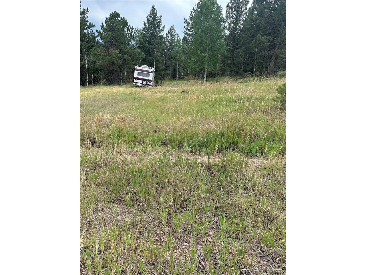 17 Deer Ridge Trail Florissant, CO 80816 - Photo 3 of 7 a room with a bench and trees