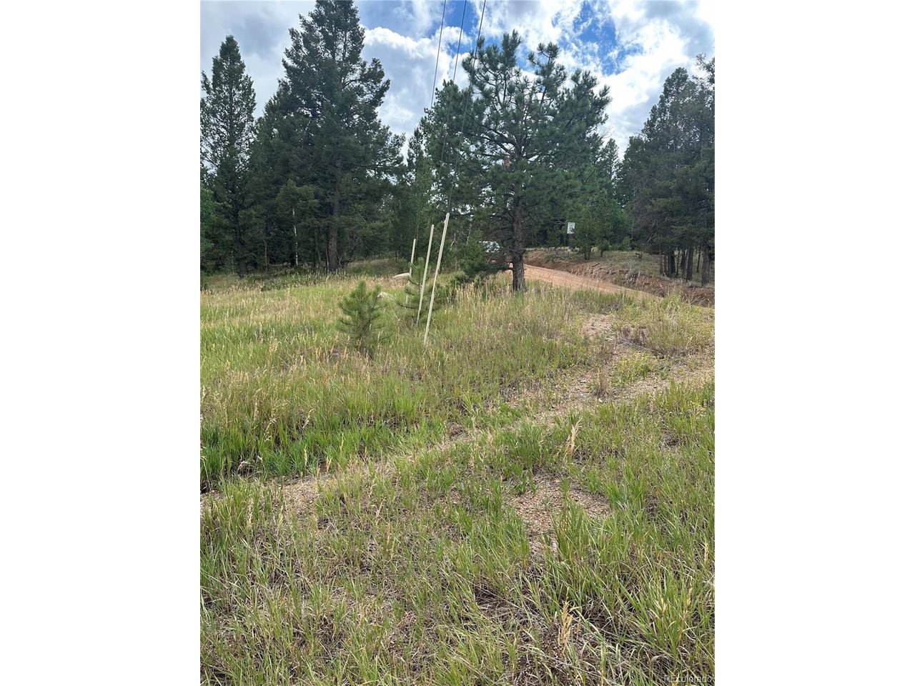 17 Deer Ridge Trail Florissant, CO 80816 - Photo 4 of 7 a view of swimming pool from balcony
