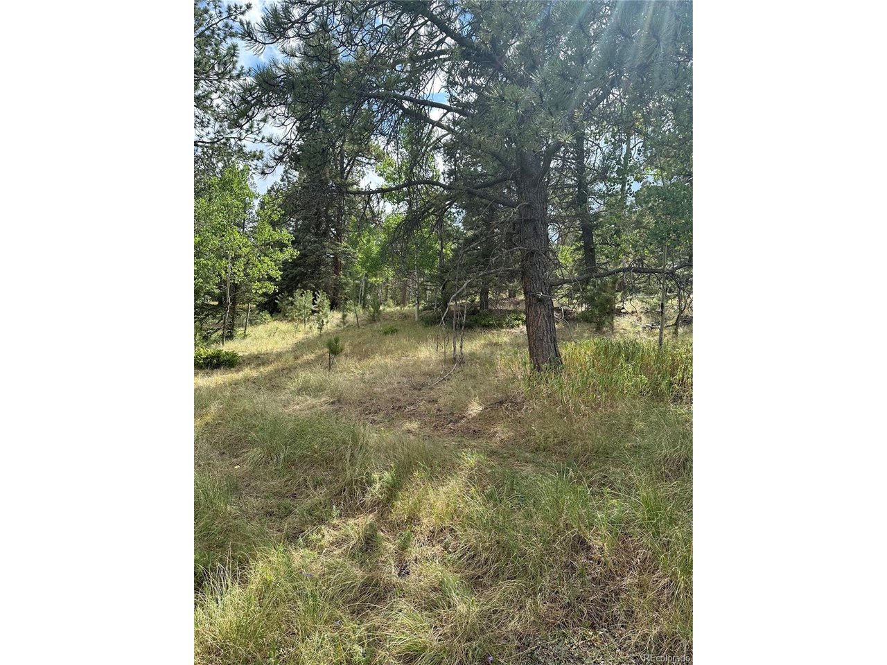 17 Deer Ridge Trail Florissant, CO 80816 - Photo 5 of 7