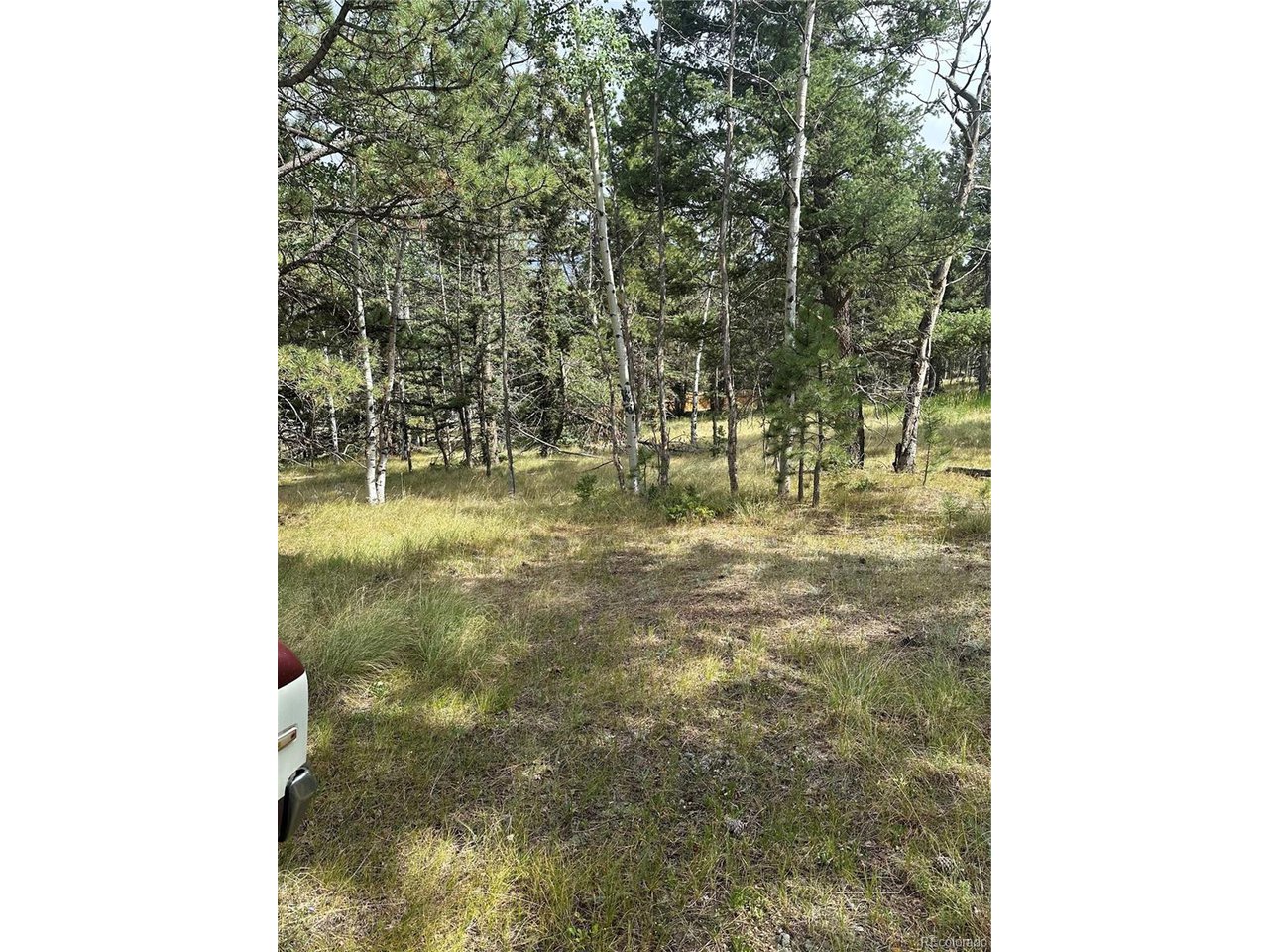 17 Deer Ridge Trail Florissant, CO 80816 - Photo 6 of 7 a bathroom with a shower