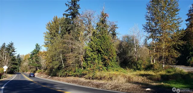 a view of a yard with plants and a bench