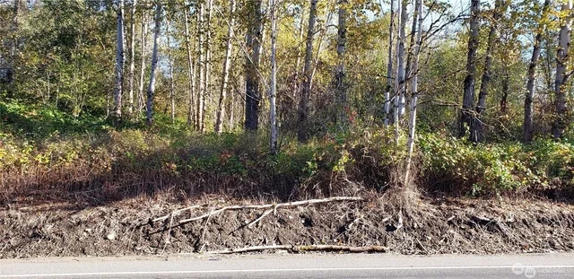 a view of a yard with a tree