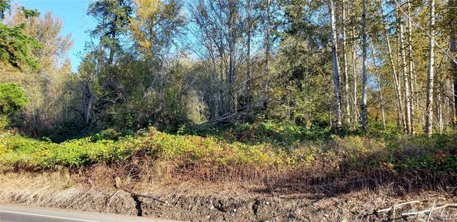 a view of a yard with plants and trees