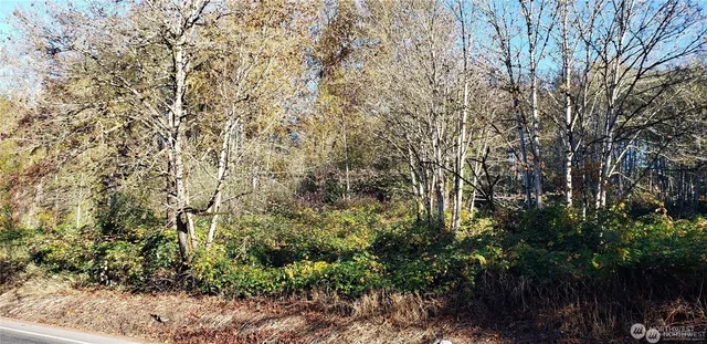 a view of a garden with plants and a bench