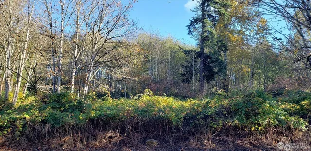 $100,000 | 320-xx 105th Avenue Southeast, Auburn, WA 98092