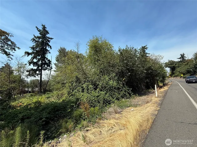 a view of a yard with plants and trees