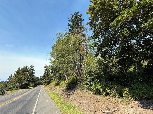 a view of a yard from a window