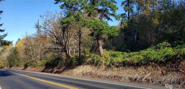 a view of a lake in middle of forest