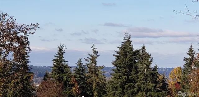 a view of a house with a tree