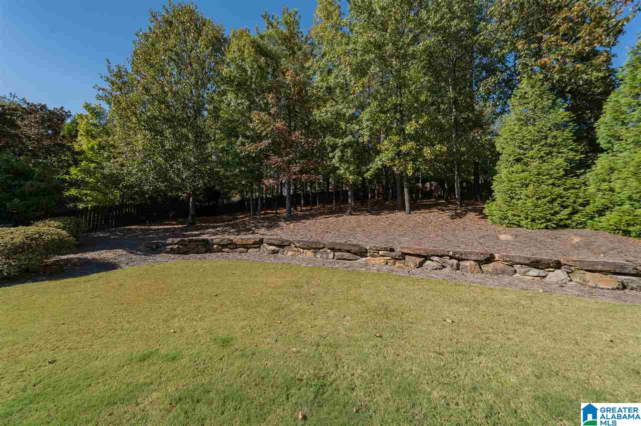 3955 Butler Springs Way Birmingham, AL 35226 - Photo 49 of 50