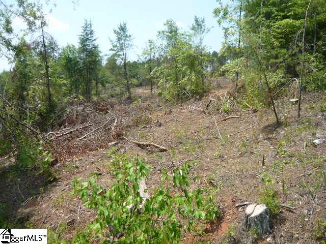 729 Red Hill Road Pickens, SC 29671 - Photo 3 of 5