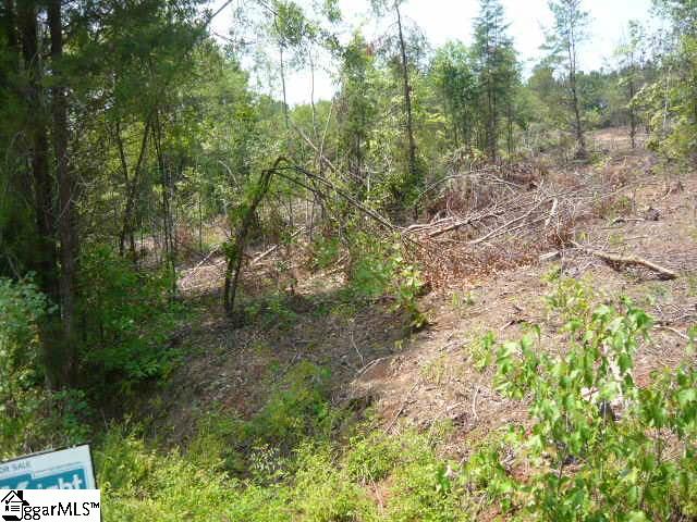 729 Red Hill Road Pickens, SC 29671 - Photo 5 of 5