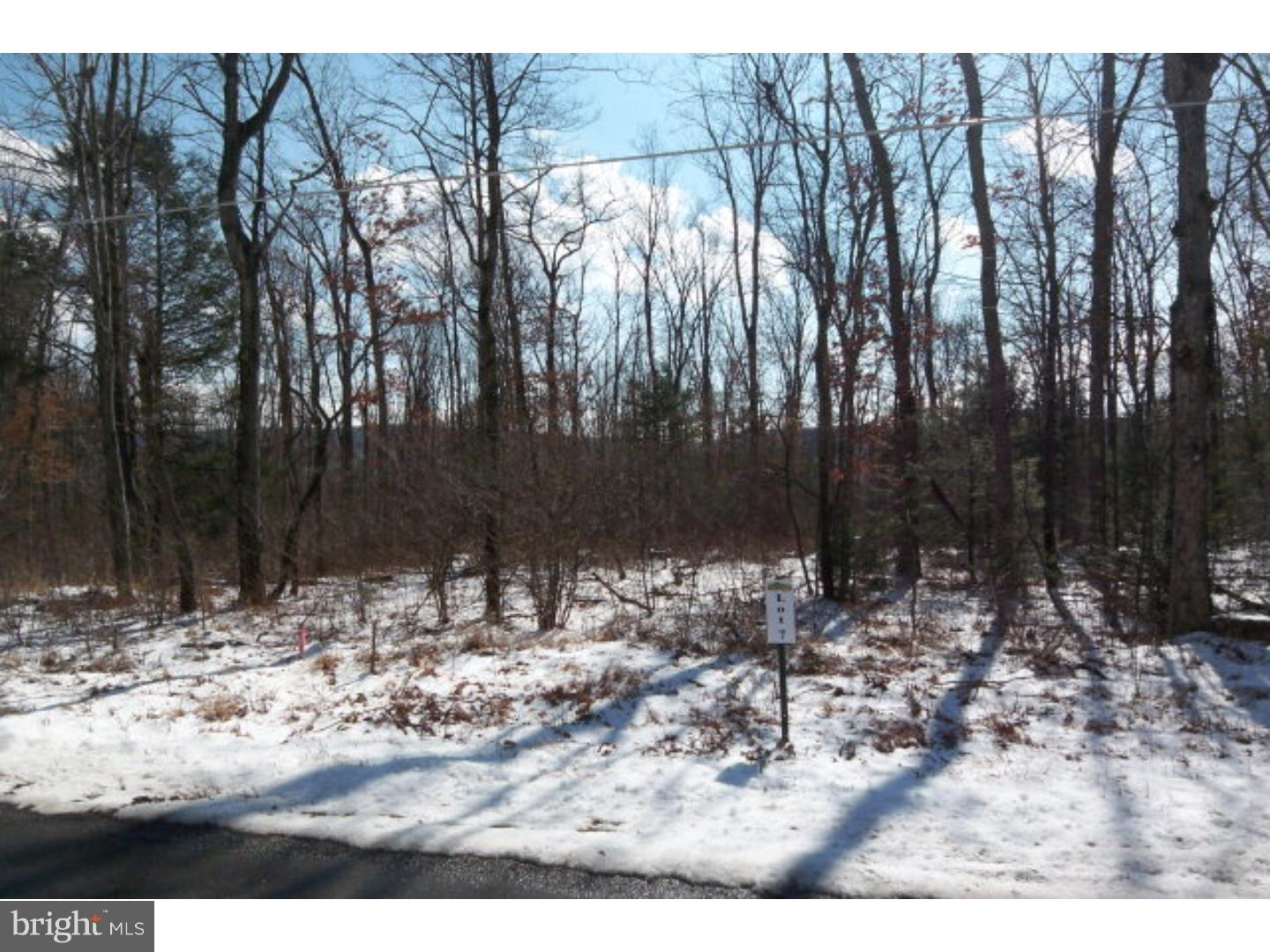 Lot #7 St Peters Road Andreas, PA 18211 - Photo 1 of 1 Gallery Image 1