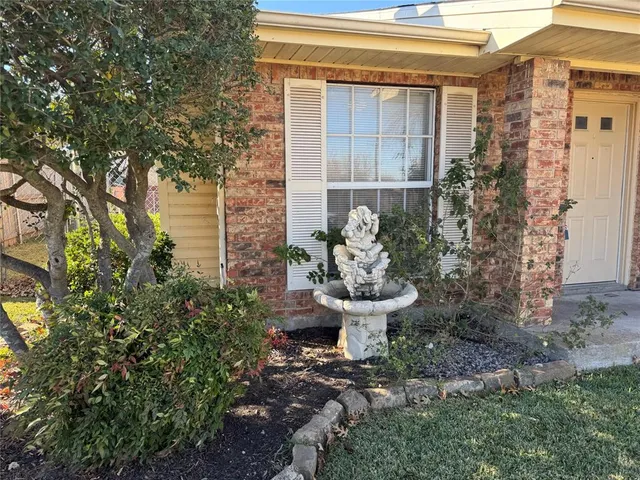 a view of backyard with plants