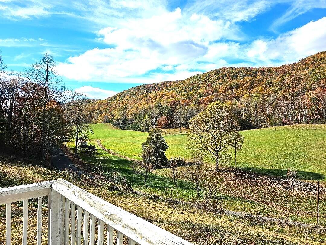 1776 Cave Springs Road Dryden, VA 24243 - Photo 20 of 21 Dryden 11