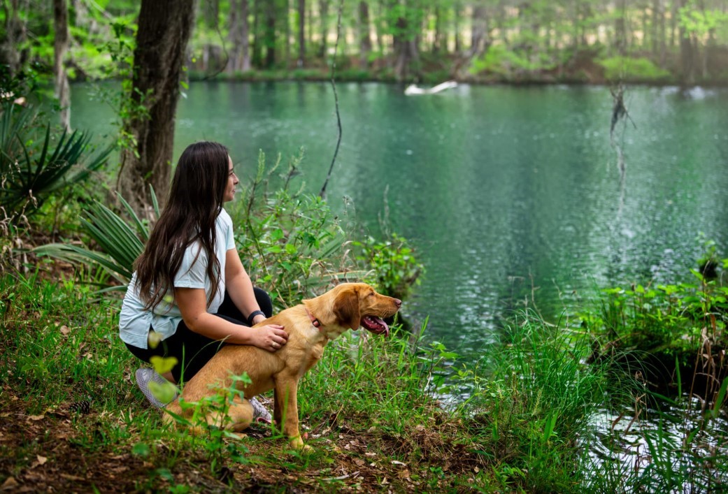 9434 Pacific Crest Porter, TX 77365 - Photo 47 of 50 Parks and Trails
