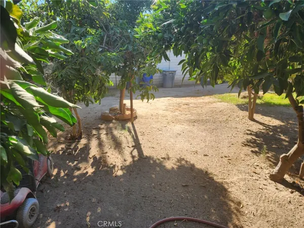 a view of yard with trees