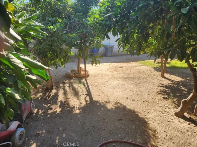 a view of yard with trees