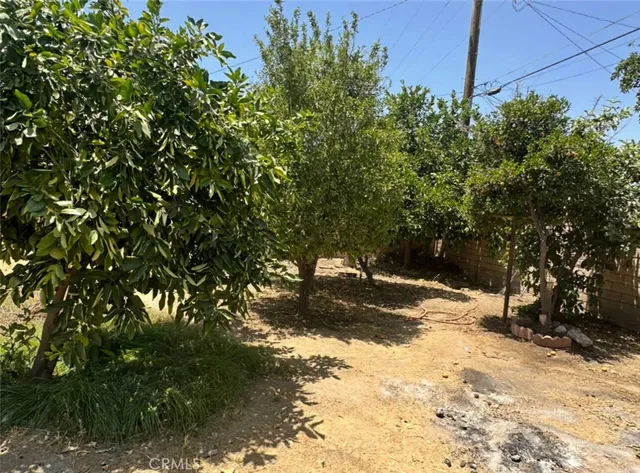 a view of a yard with plants and trees