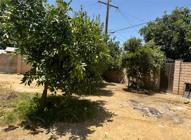 a view of a yard with trees