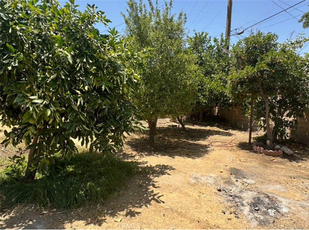 725 18th Place Delano, CA 93215 - Photo 36 of 36 a view of a yard with plants and trees