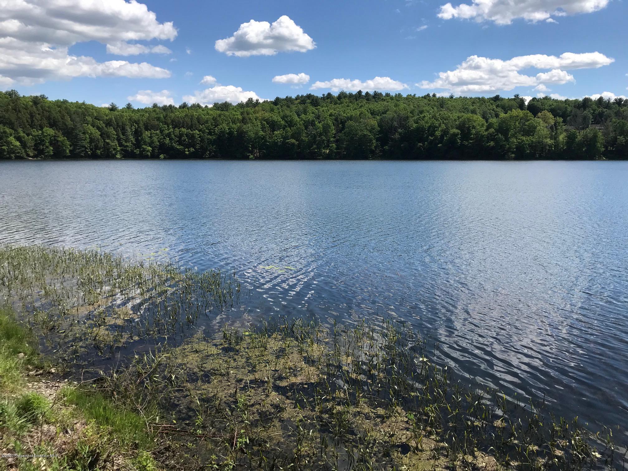 a view of a lake