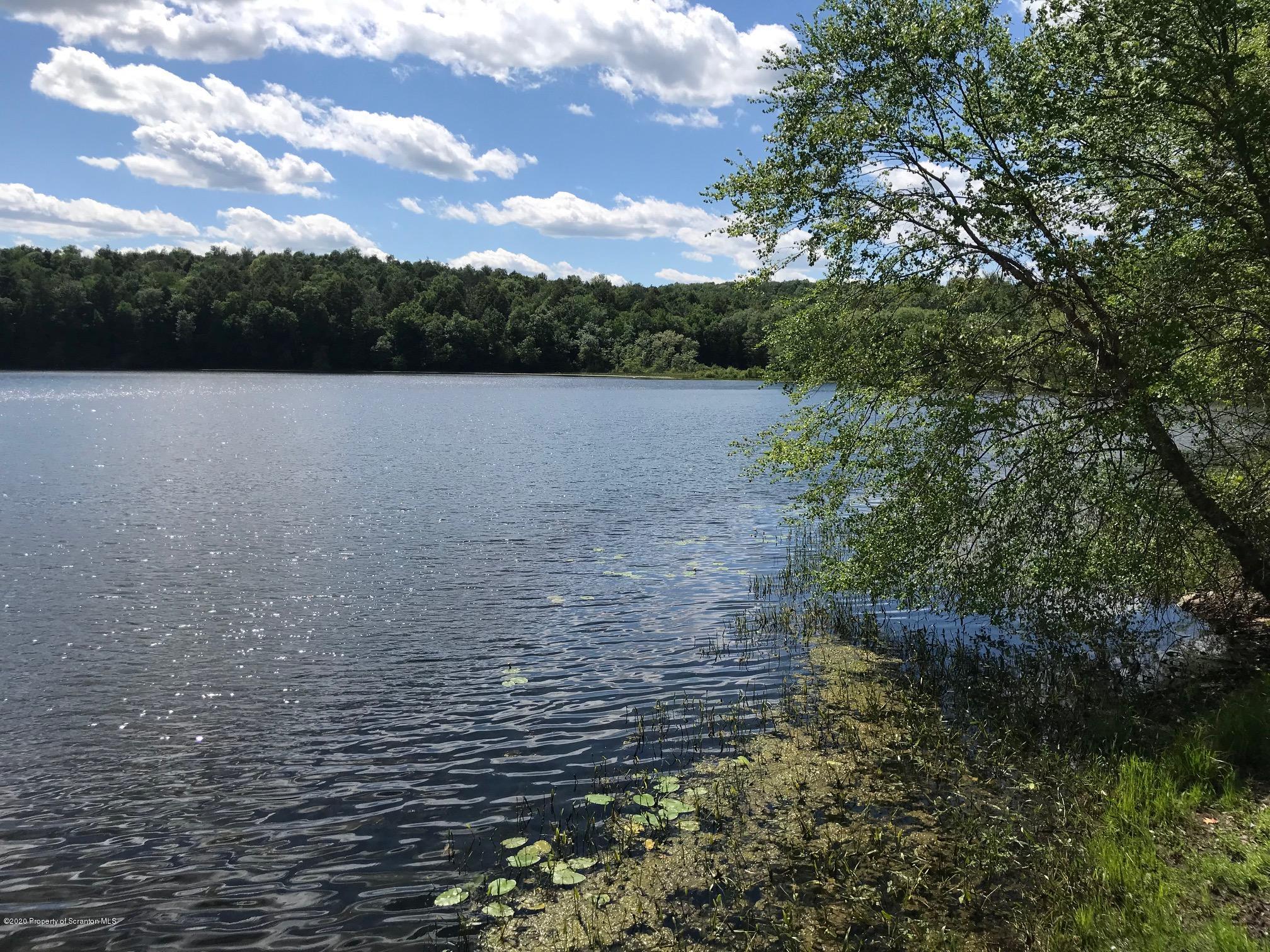 Stark Road Tunkhannock, PA 18657 - Photo 13 of 17 a view of lake with mountain