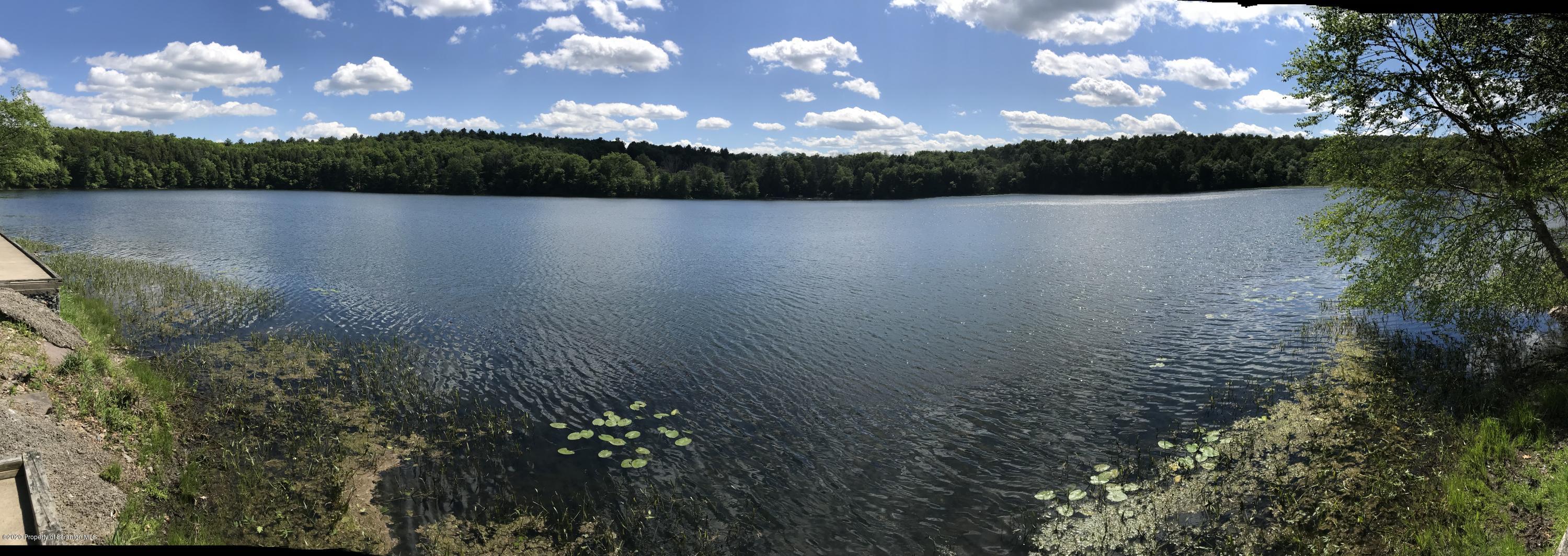 Stark Road Tunkhannock, PA 18657 - Photo 14 of 17 a view of lake