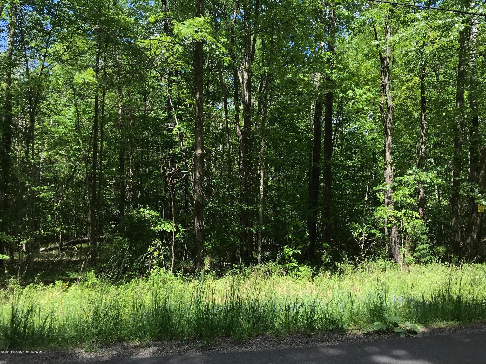 Stark Road Tunkhannock, PA 18657 - Photo 2 of 17 a view of a yard