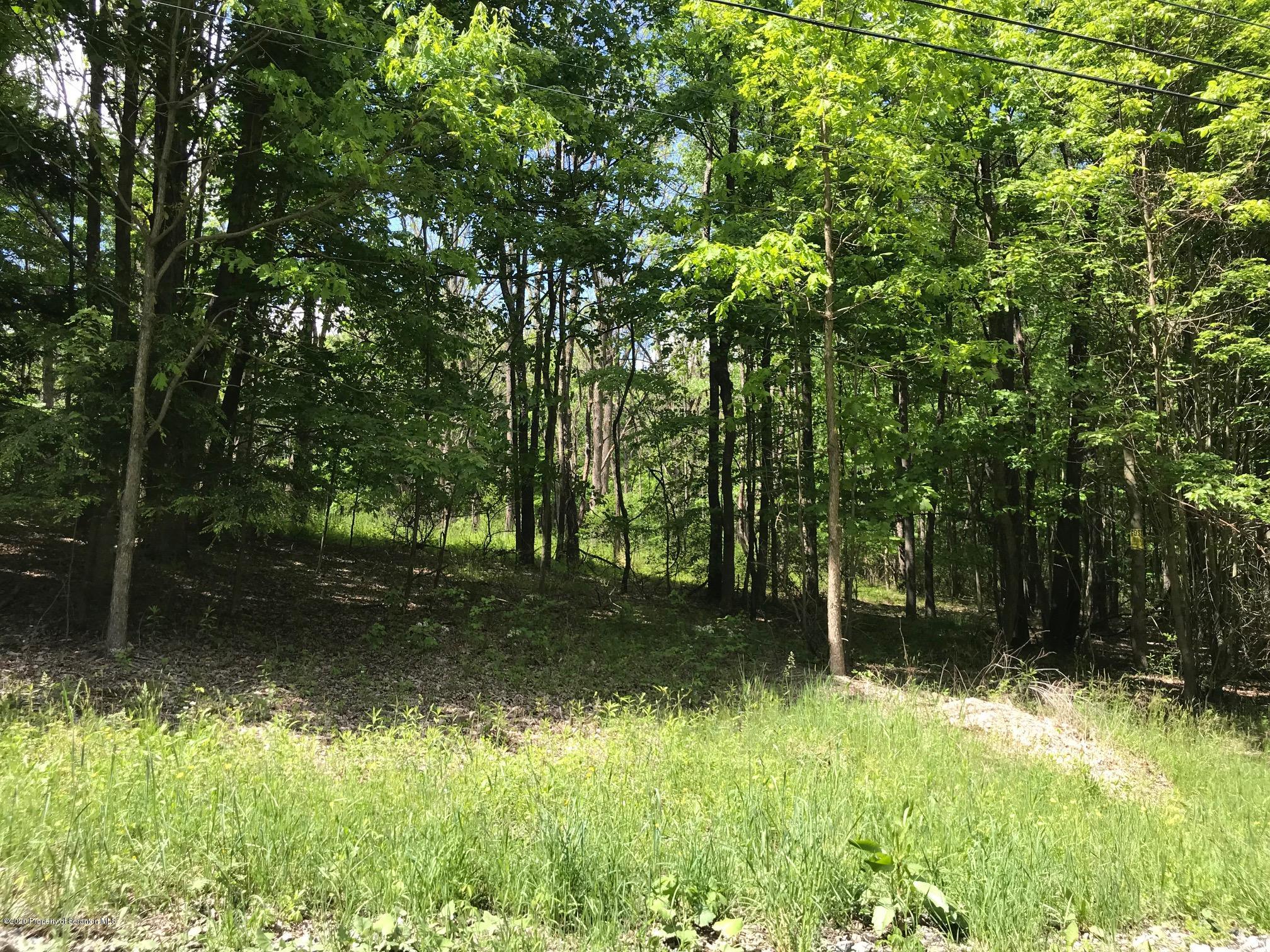Stark Road Tunkhannock, PA 18657 - Photo 4 of 17 a backyard of a house with lots of green space