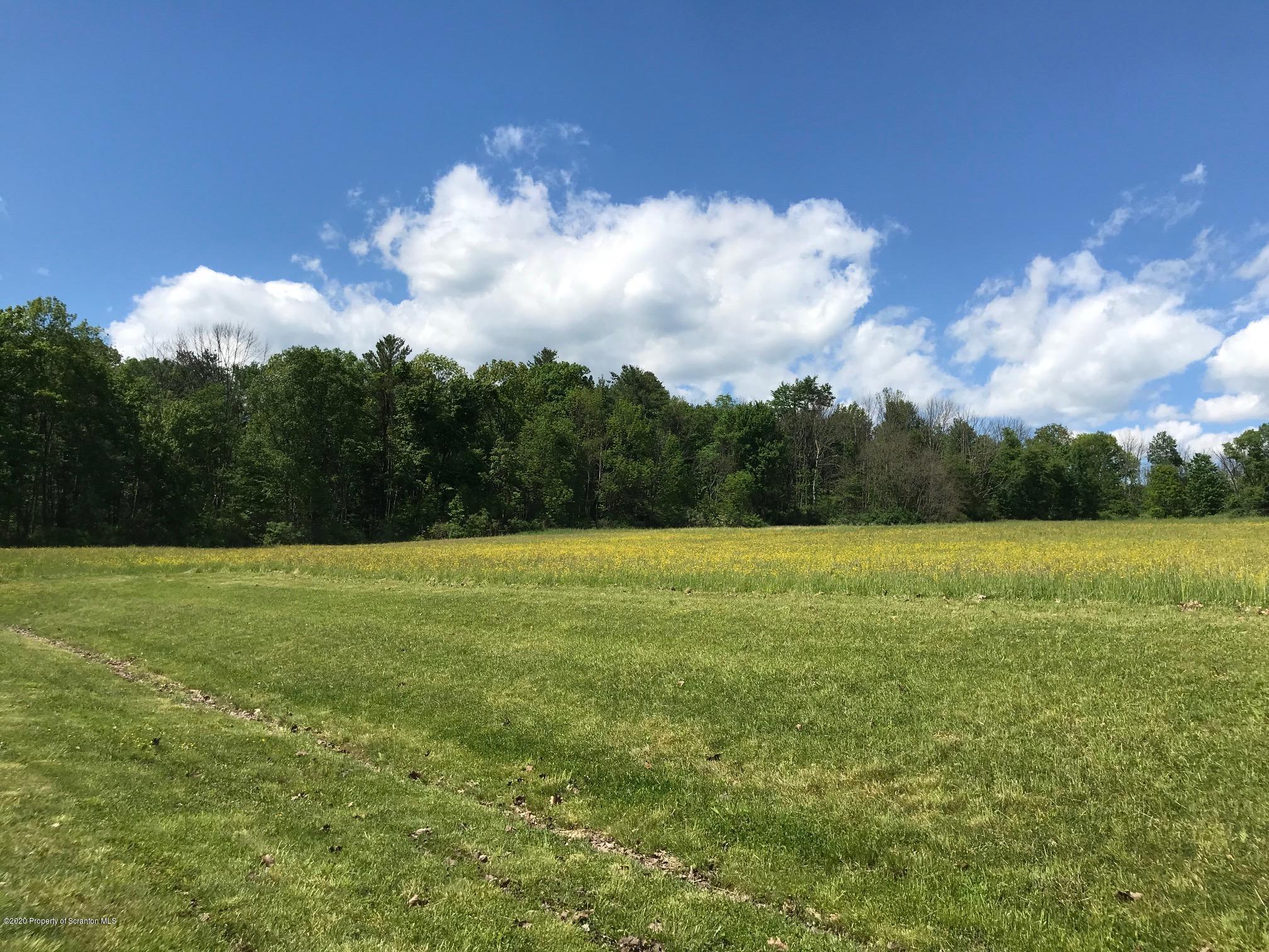 Stark Road Tunkhannock, PA 18657 - Photo 7 of 17 a view of a big yard