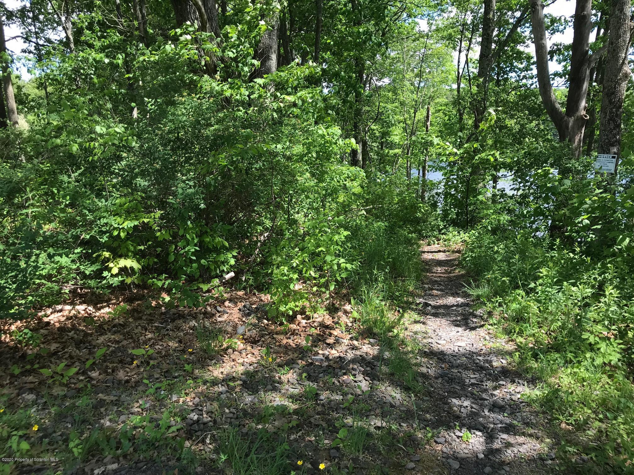 Stark Road Tunkhannock, PA 18657 - Photo 8 of 17 a view of a lush green forest