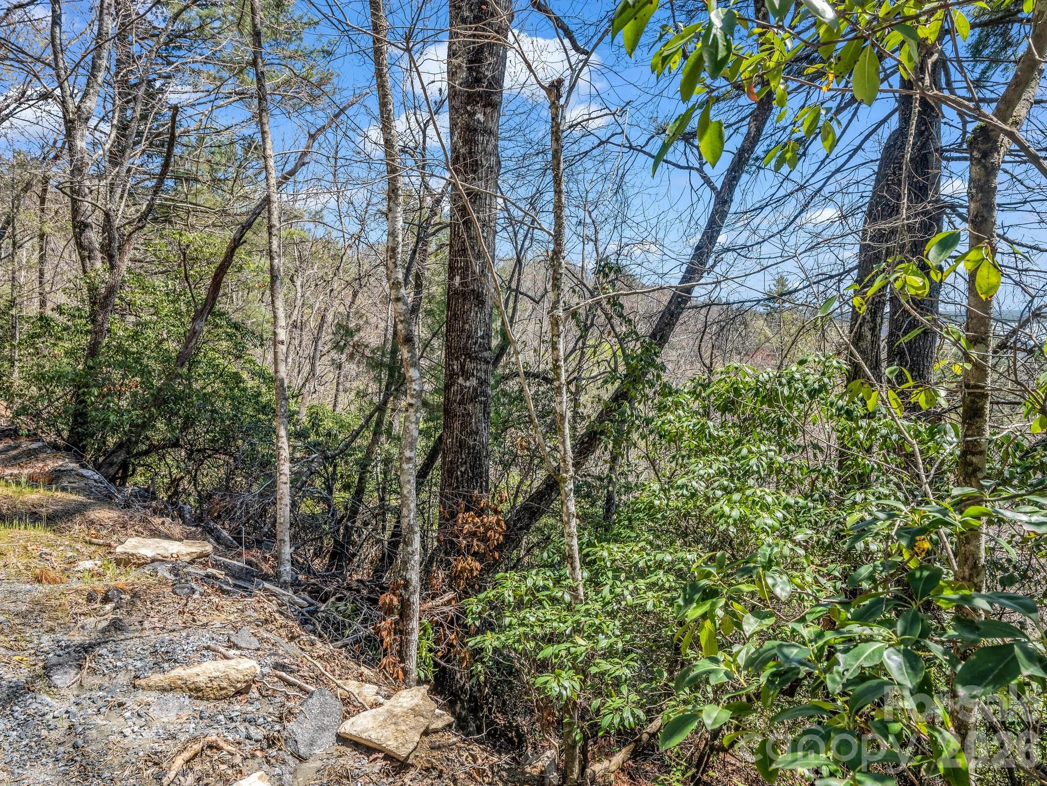 999 Bulling Creek Road Penrose, NC 28766 - Photo 6 of 37