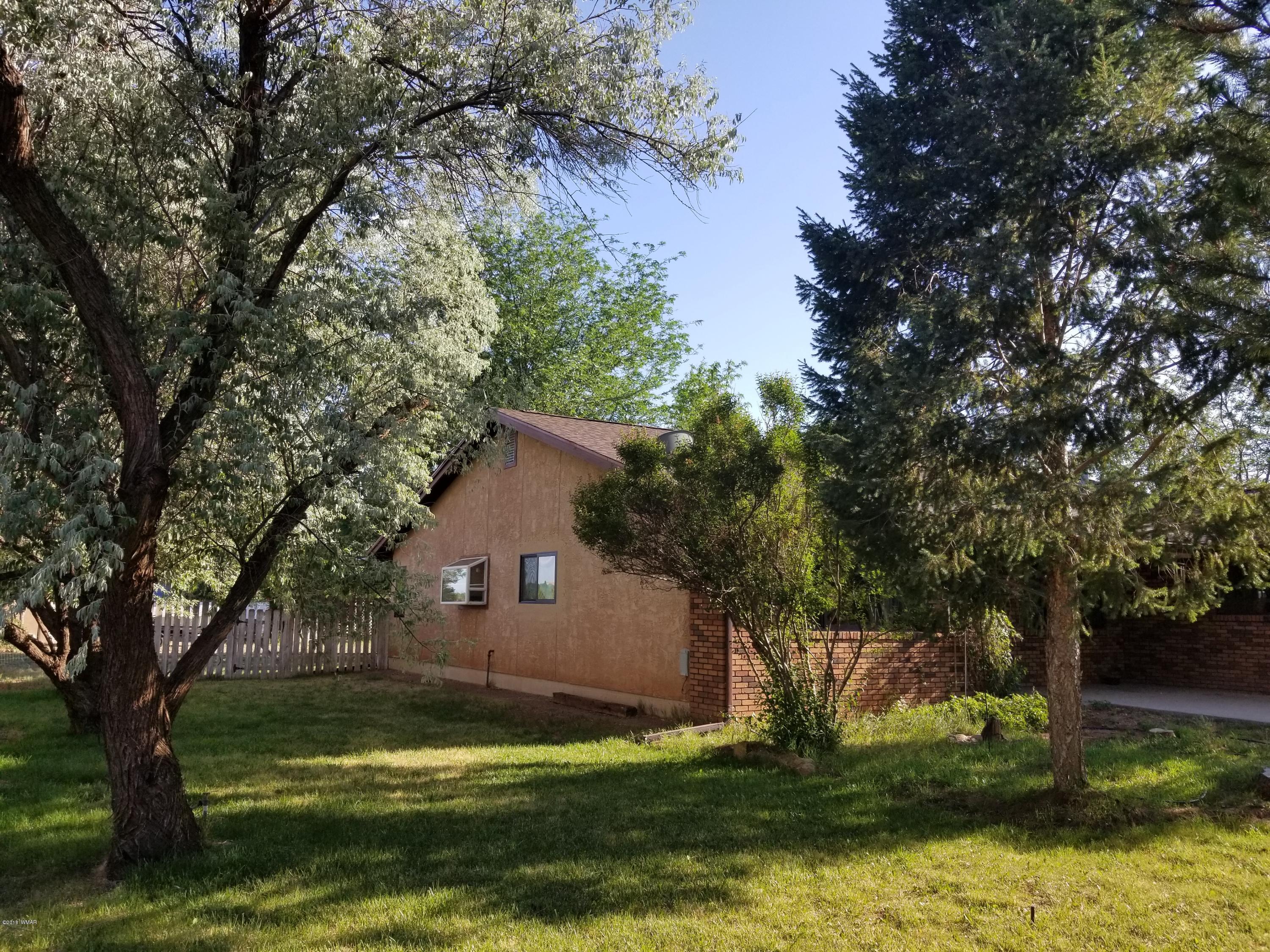 4191 Paper Mill Road Taylor, AZ 85939 - Photo 46 of 61