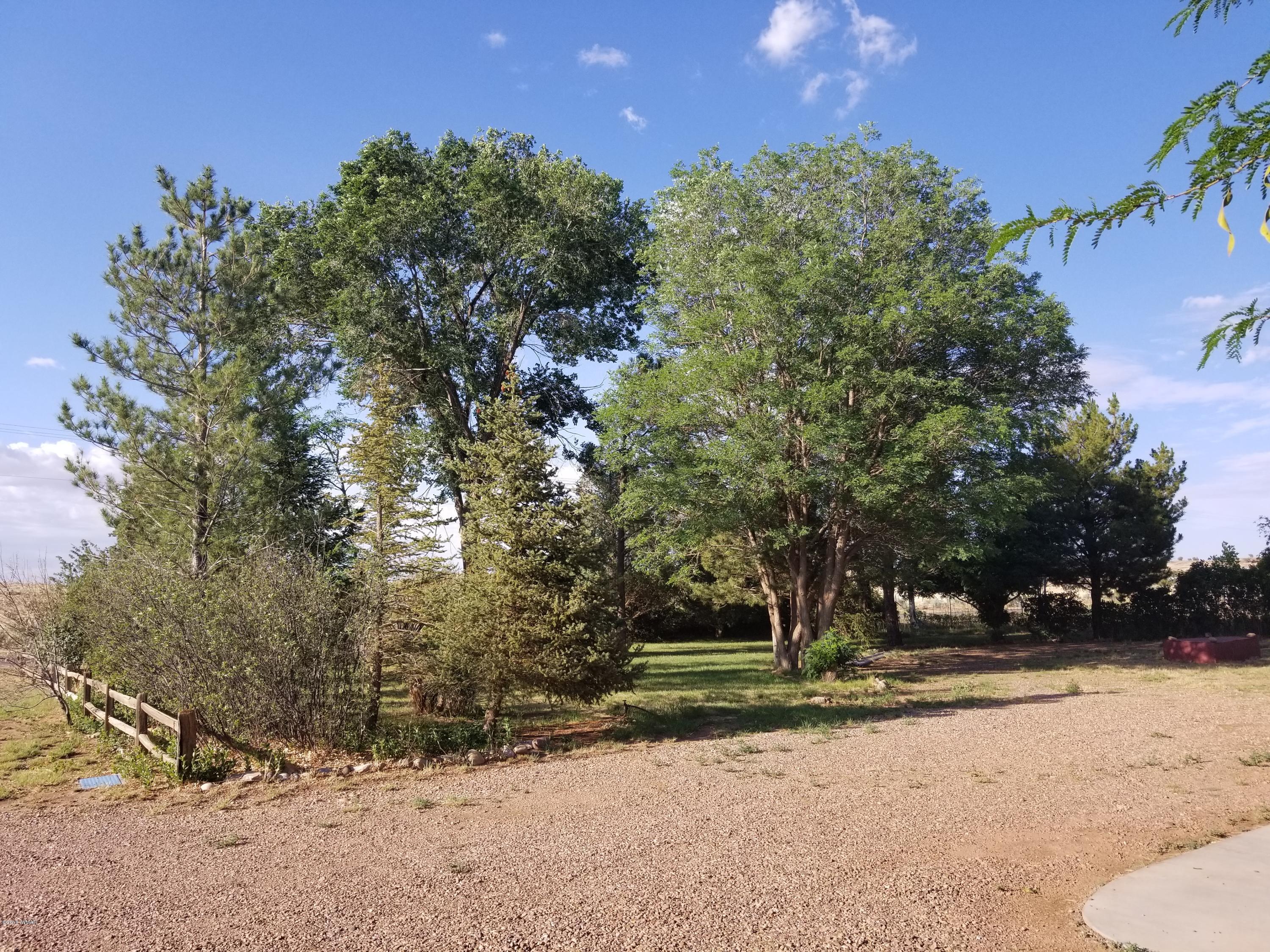 4191 Paper Mill Road Taylor, AZ 85939 - Photo 47 of 61