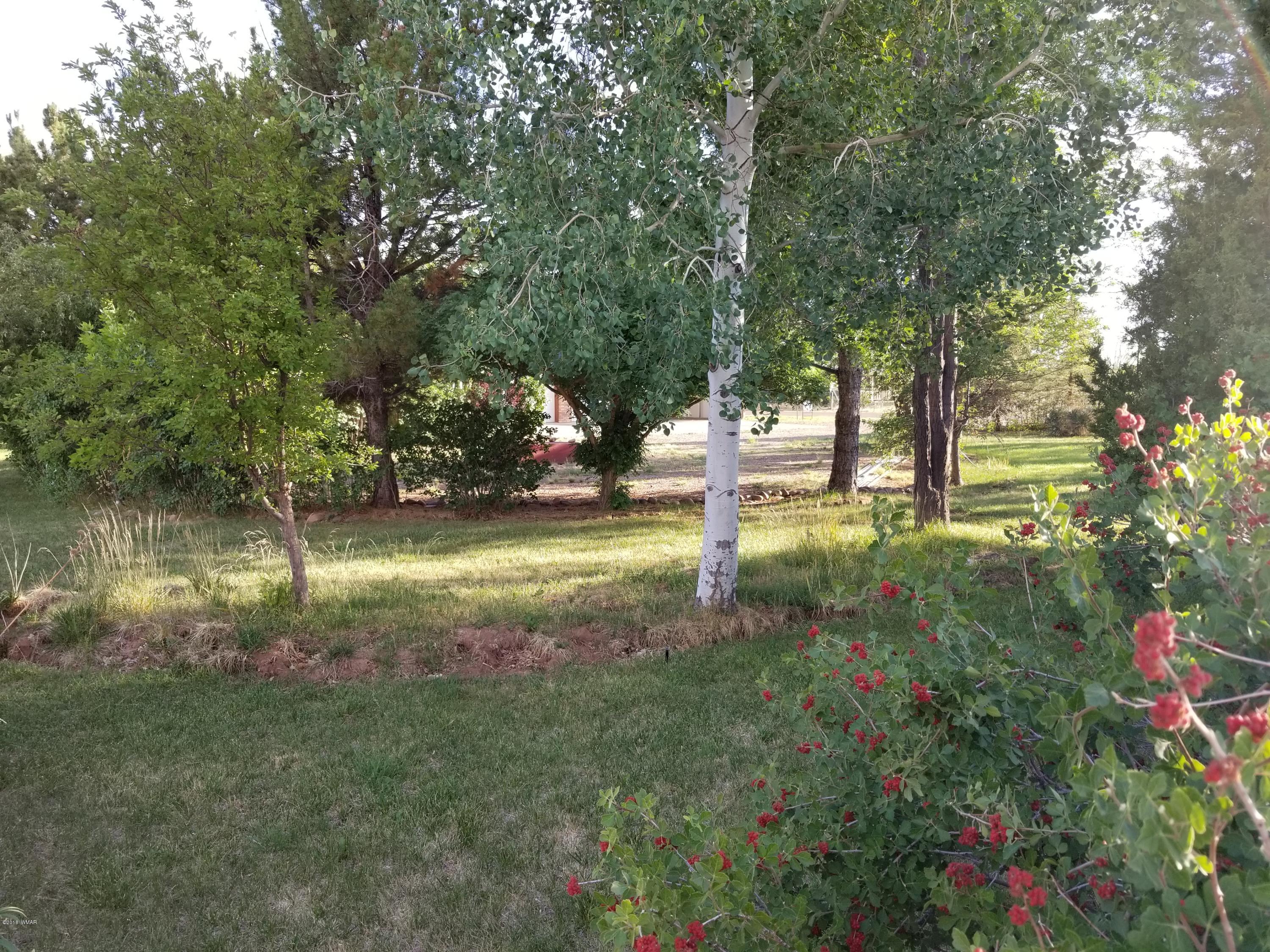4191 Paper Mill Road Taylor, AZ 85939 - Photo 50 of 61
