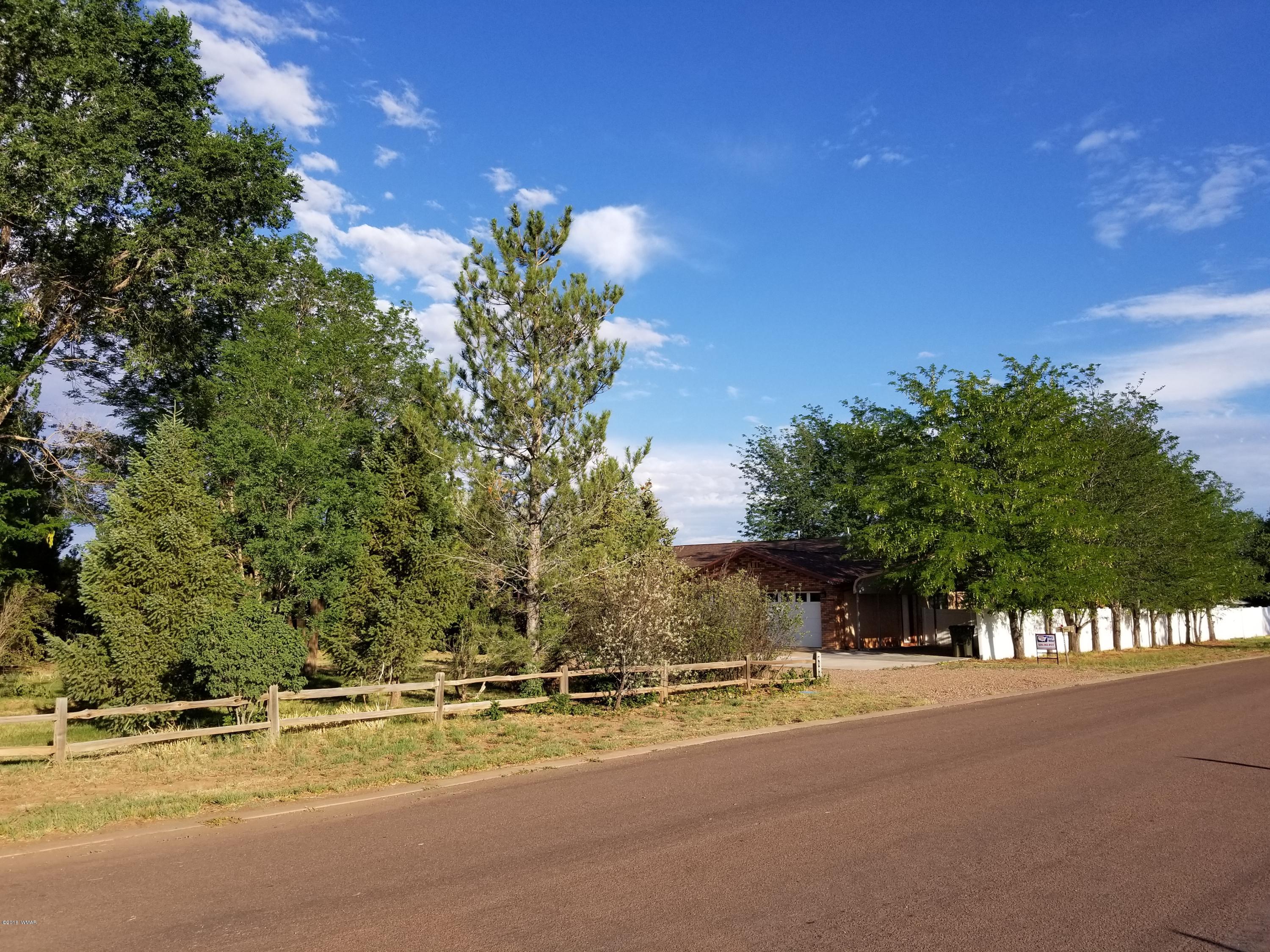 4191 Paper Mill Road Taylor, AZ 85939 - Photo 56 of 61