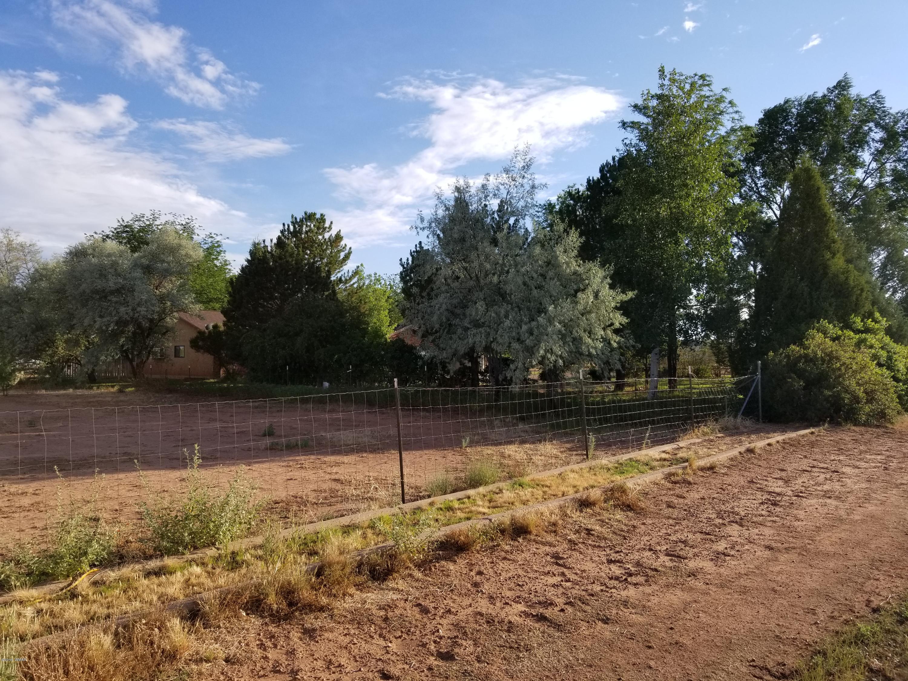 4191 Paper Mill Road Taylor, AZ 85939 - Photo 57 of 61