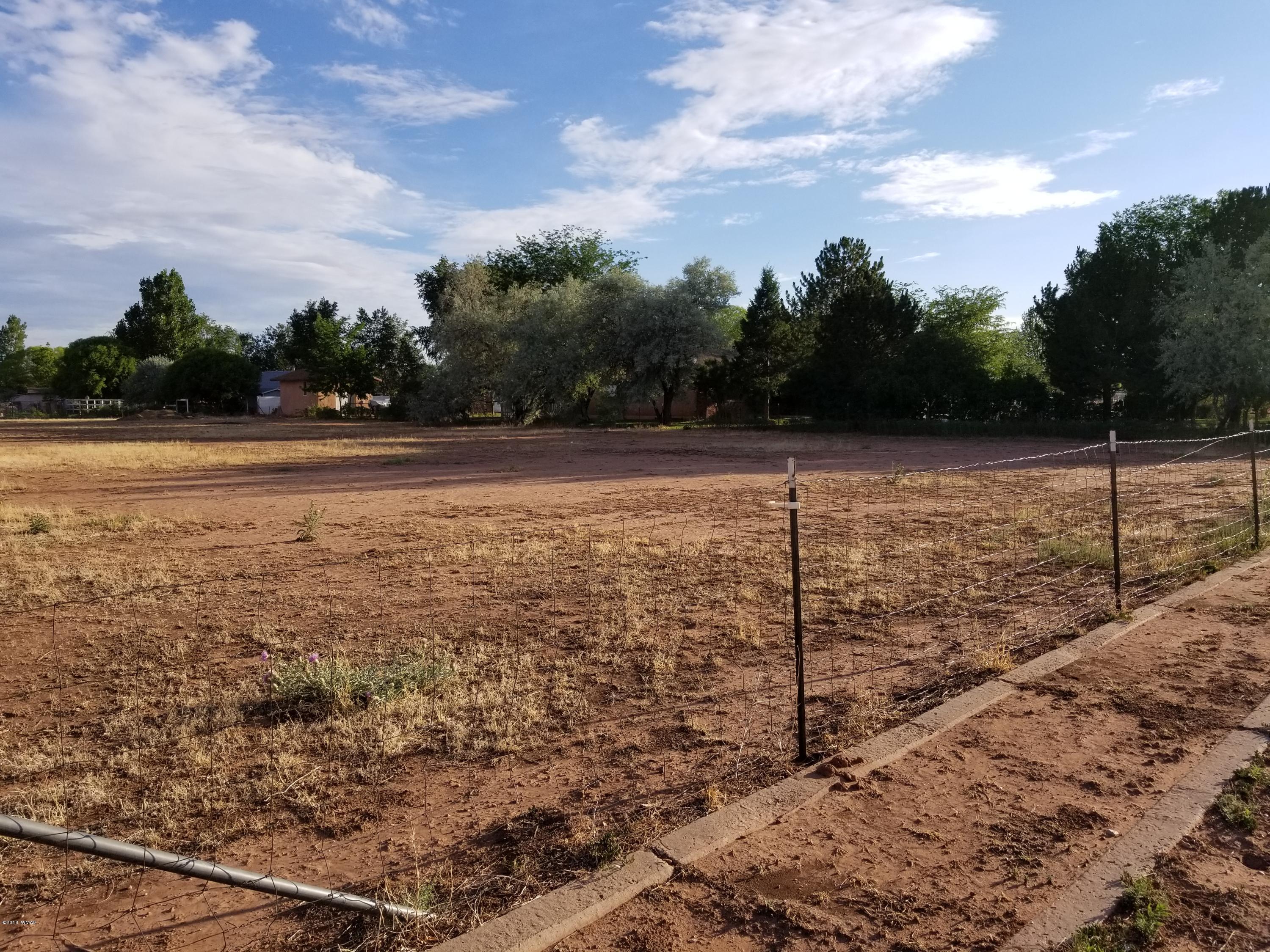 4191 Paper Mill Road Taylor, AZ 85939 - Photo 58 of 61