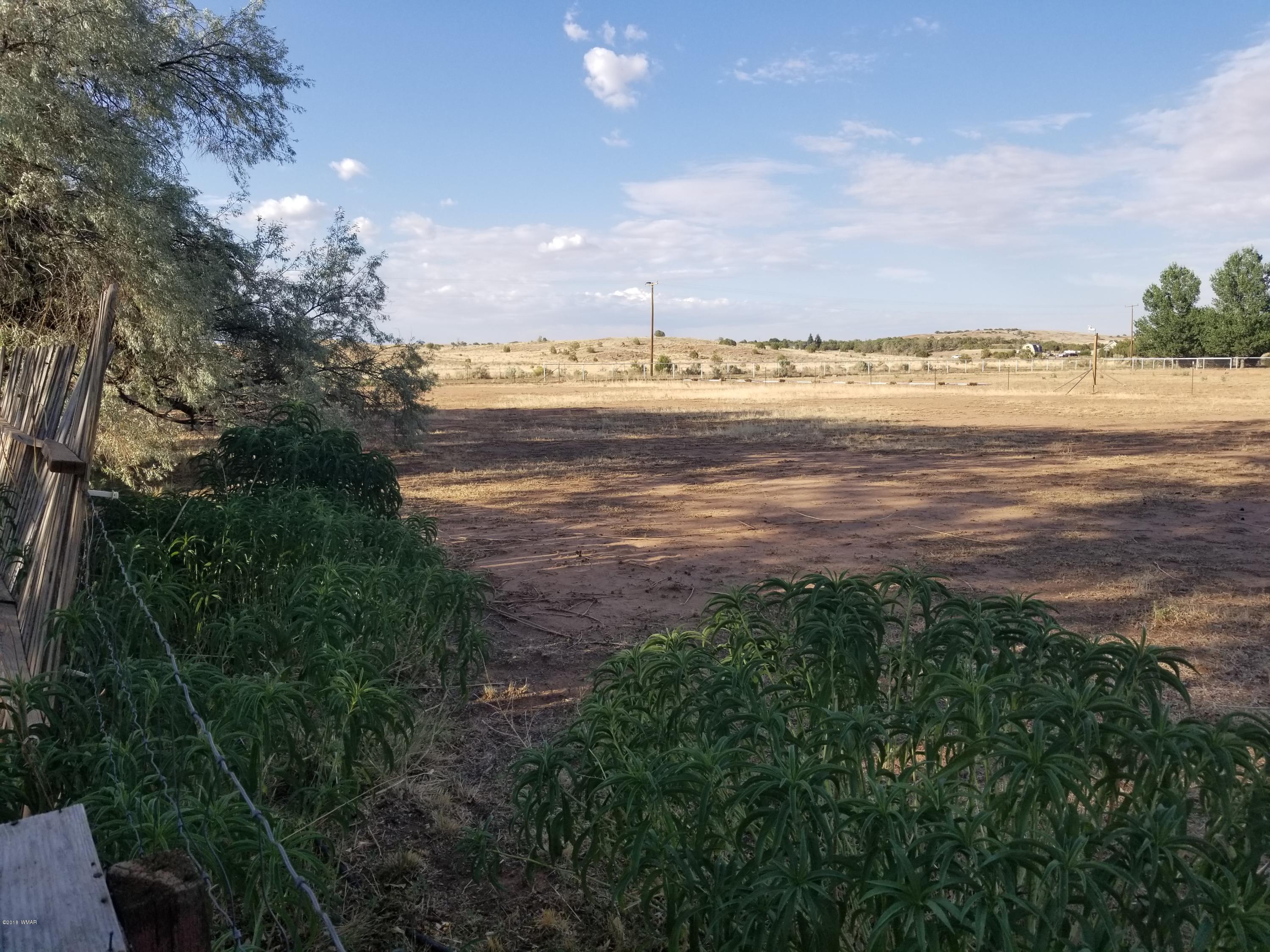 4191 Paper Mill Road Taylor, AZ 85939 - Photo 59 of 61