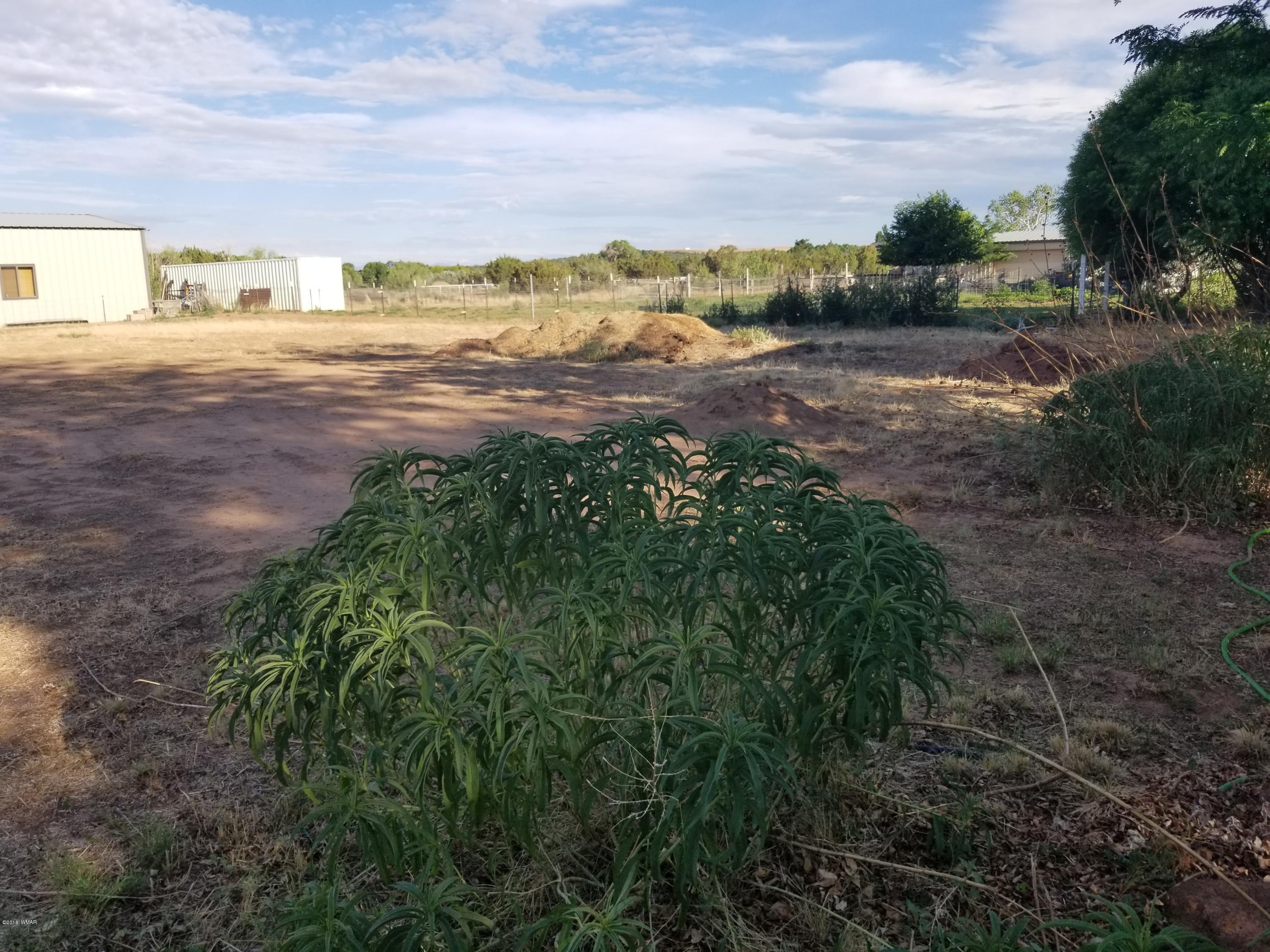 4191 Paper Mill Road Taylor, AZ 85939 - Photo 60 of 61