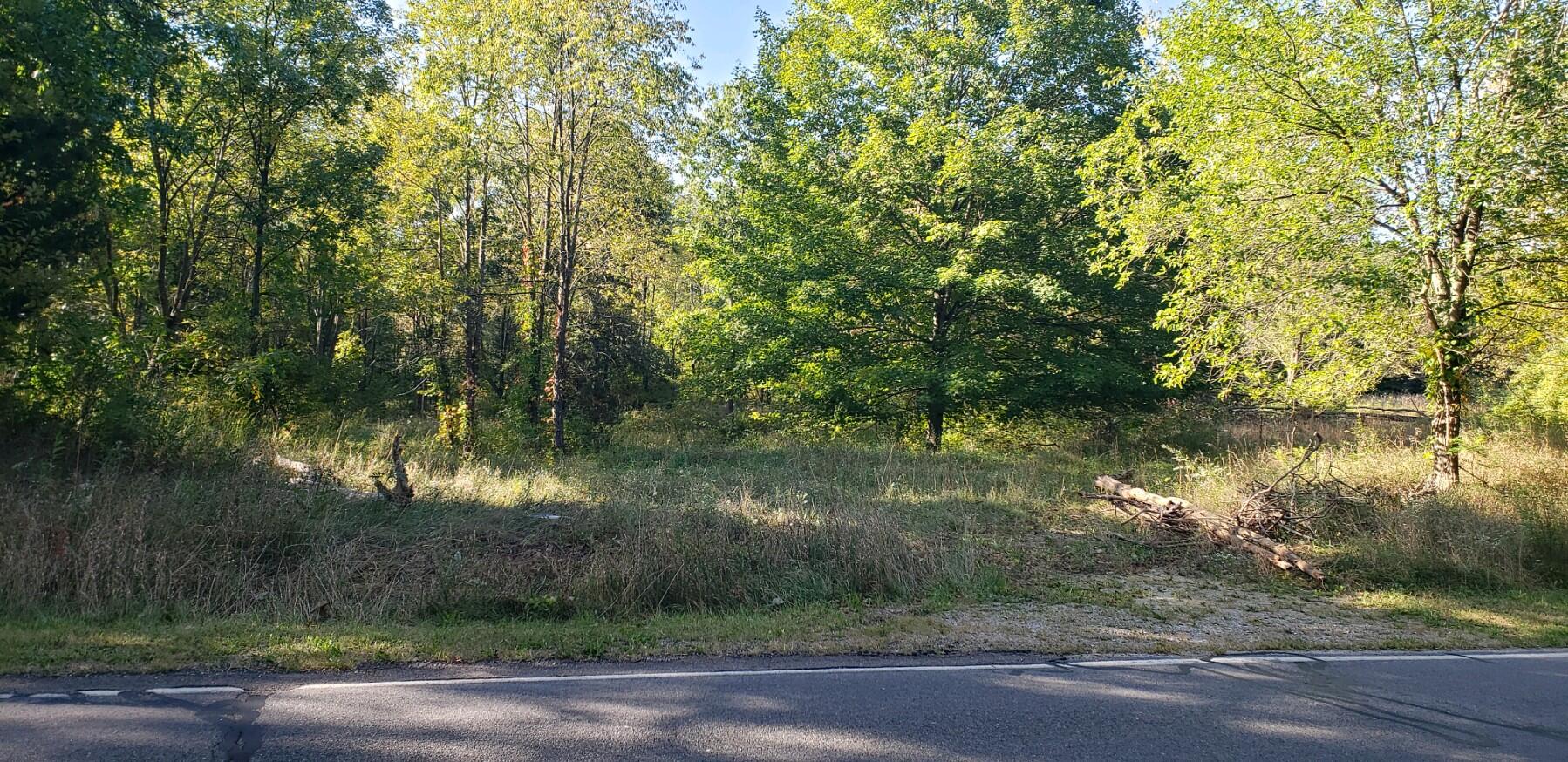 7461 Sears Road Horton, MI 49246 - Photo 3 of 7 IMG-2904 4