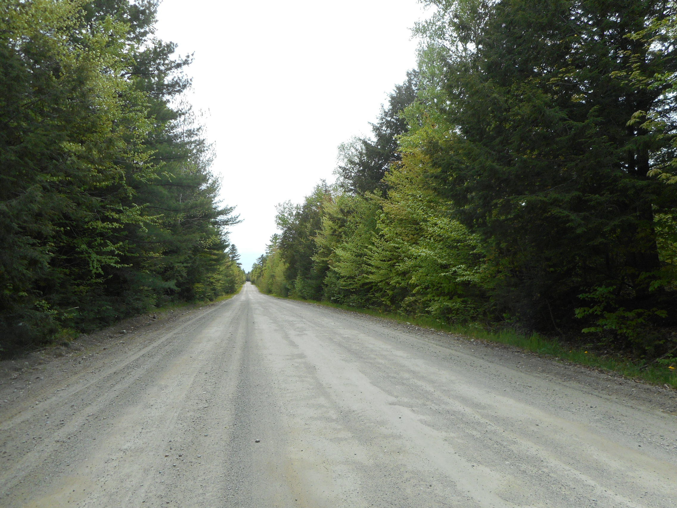 116 Howland Me 04448 Howland, ME 04448 - Photo 5 of 8 DSCN2108