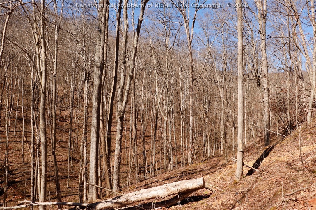 0 Straight Creek Road Walton, WV 25286 - Photo 20 of 47 Gallery Image 20