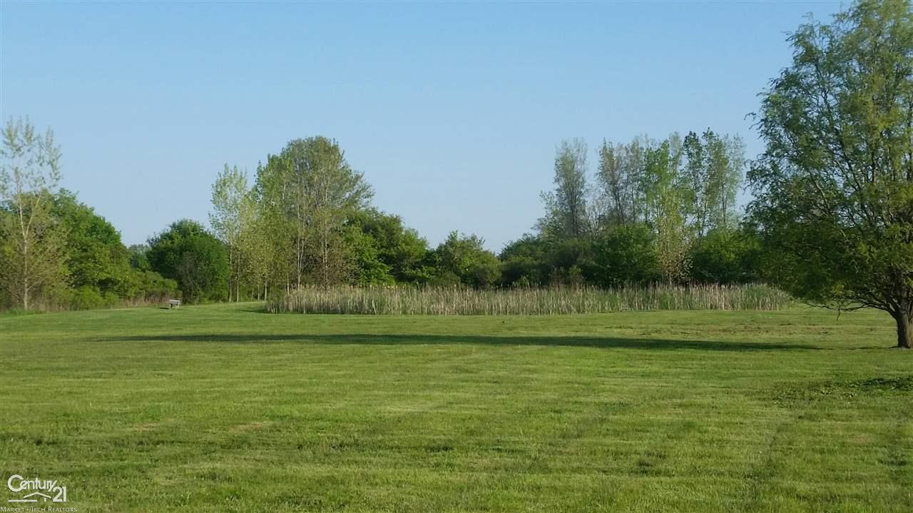 6159 Marsh Road Marine City, MI 48039 - Photo 20 of 22 Pond