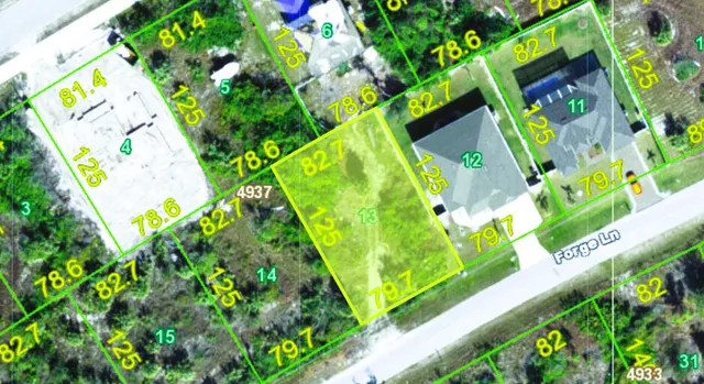 a close up of a plant