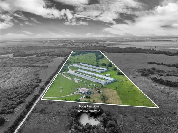 a view of a back yard